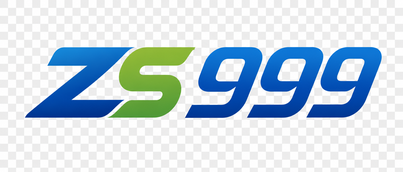ZS 999